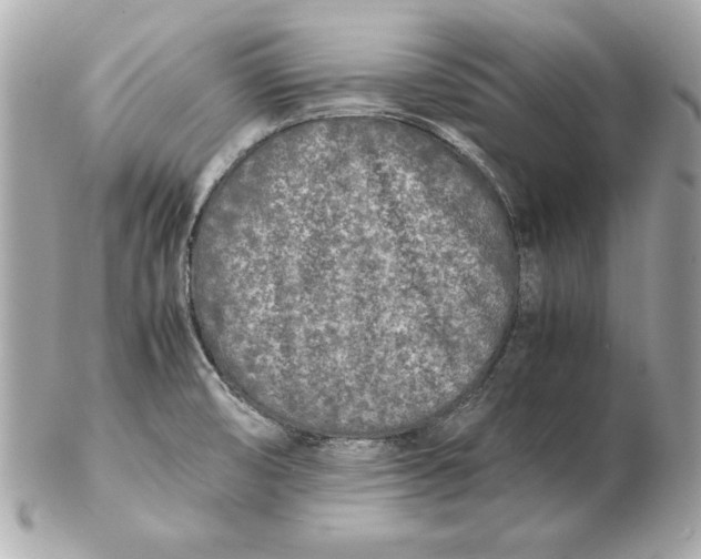 X0000102471474200808291553