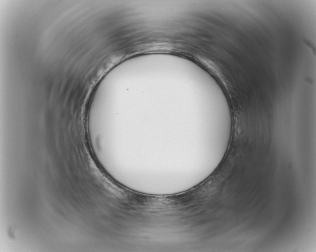 X0000102471475200808291553