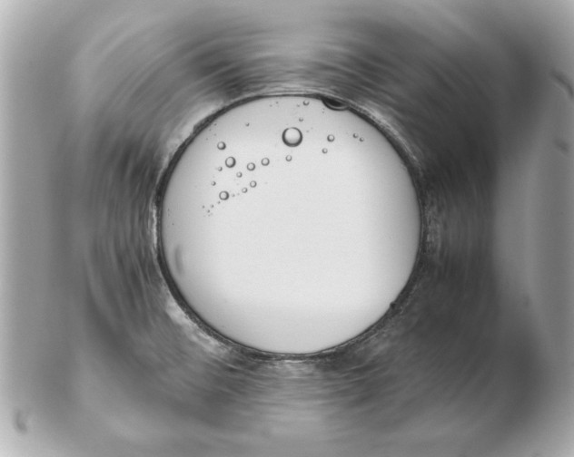 X0000102471476200808291553