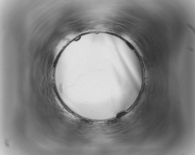 X0000102471477200808291553