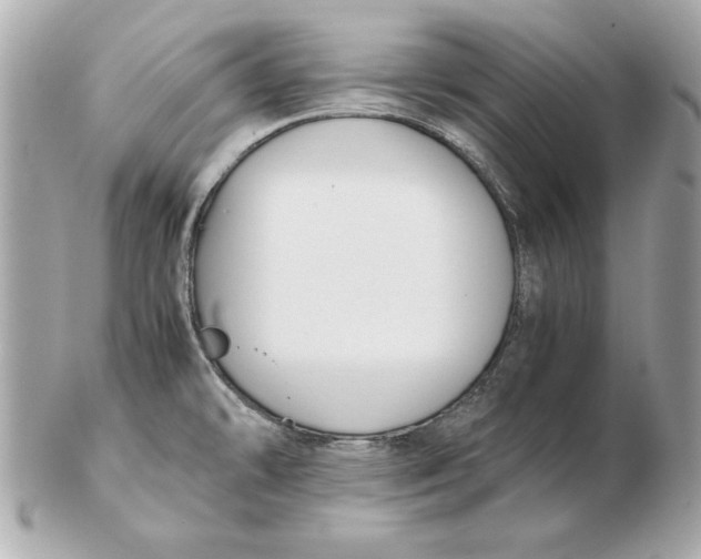 X0000102471478200808291553