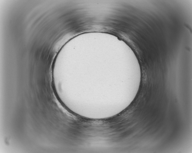 X0000102471479200808291553