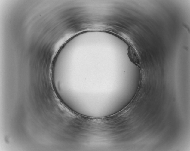 X0000102471480200808291553
