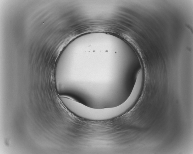 X0000102471481200808291553