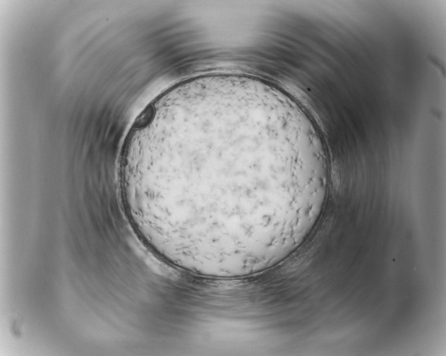 X0000102471482200808291553