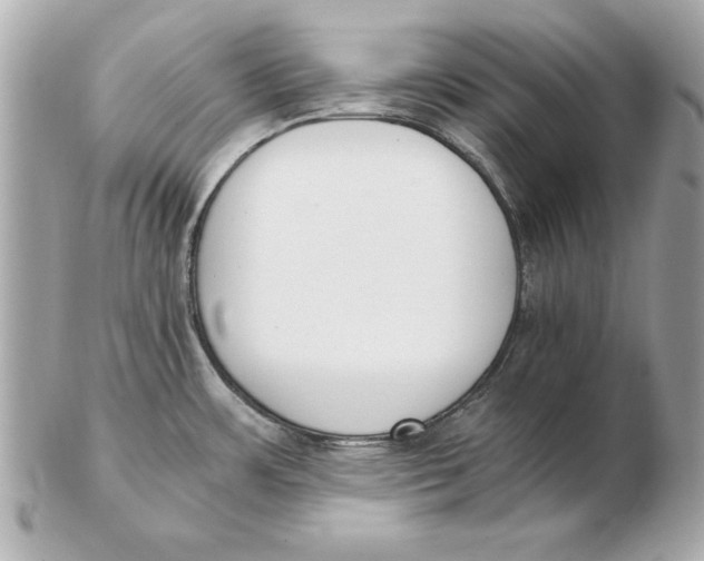 X0000102471483200808291553