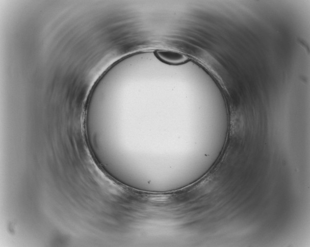 X0000102471484200808291553