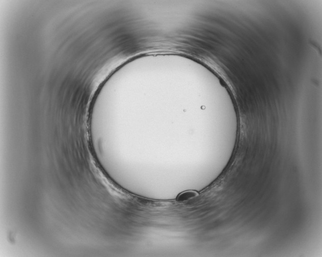 X0000102471485200808291553