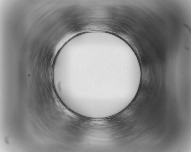 X0000102471486200808291553
