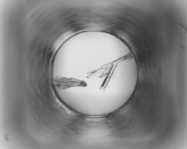 X0000102471487200808291553
