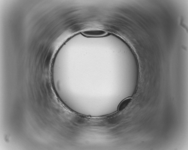 X0000102471488200808291553