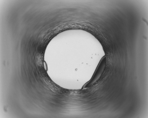 X0000102471490200808291552