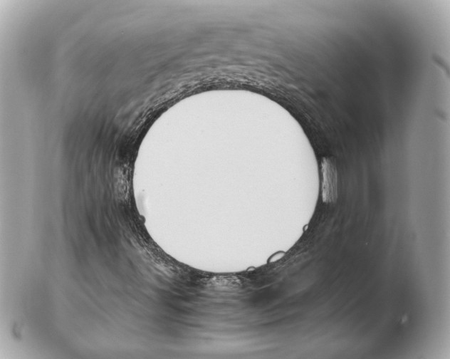 X0000102471491200808291552