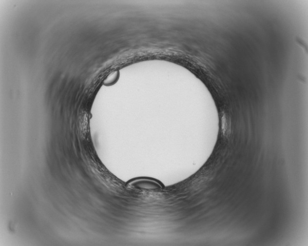 X0000102471492200808291552
