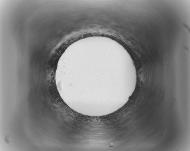 X0000102471495200808291552
