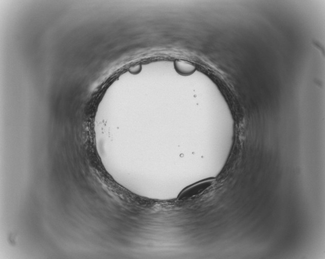X0000102471496200808291552