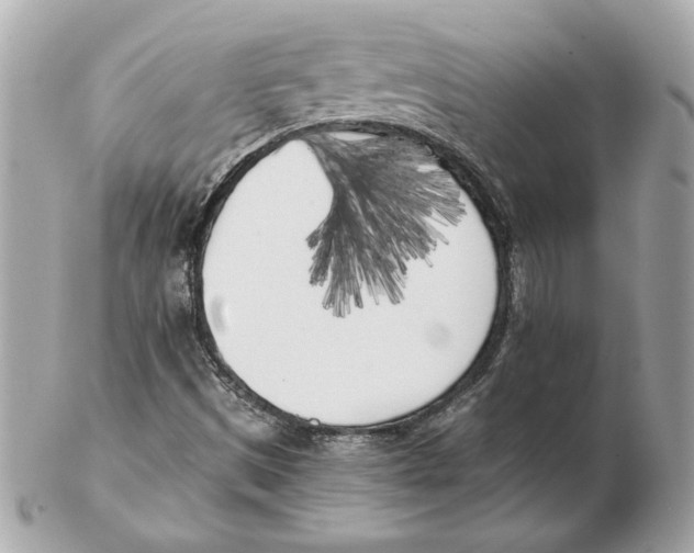 X0000102471497200808291552