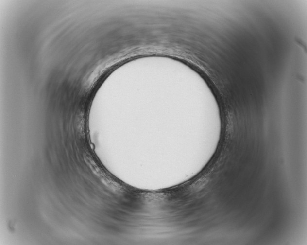 X0000102471499200808291552
