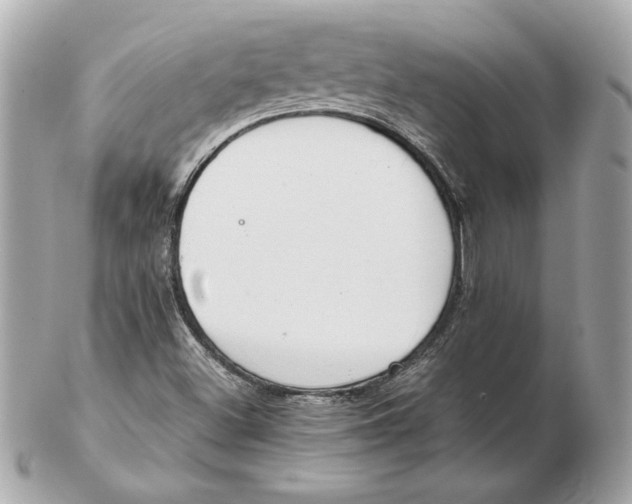 X0000102471500200808291552