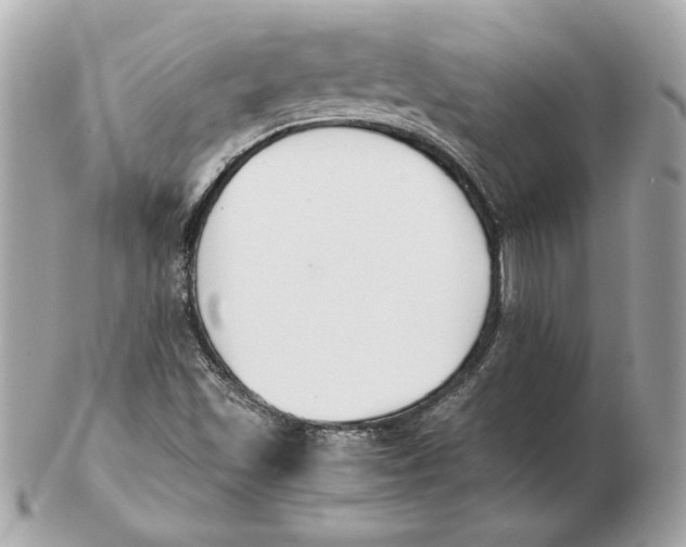 X0000102471501200808291552