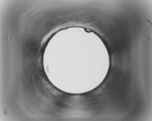X0000102471502200808291552