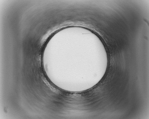 X0000102471503200808291552