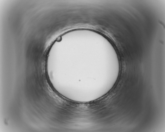 X0000102471504200808291552