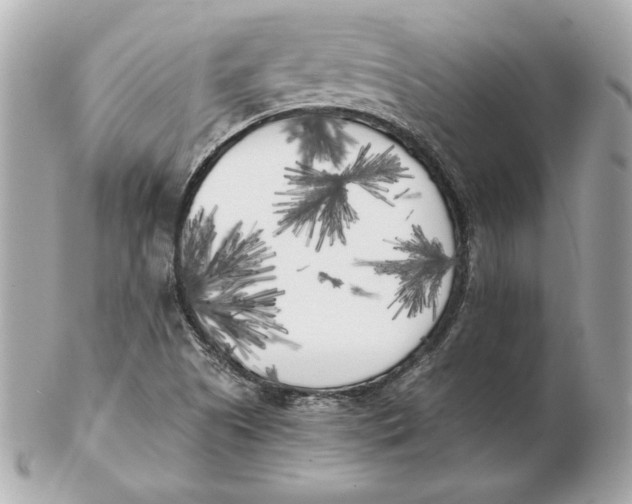 X0000102471505200808291552