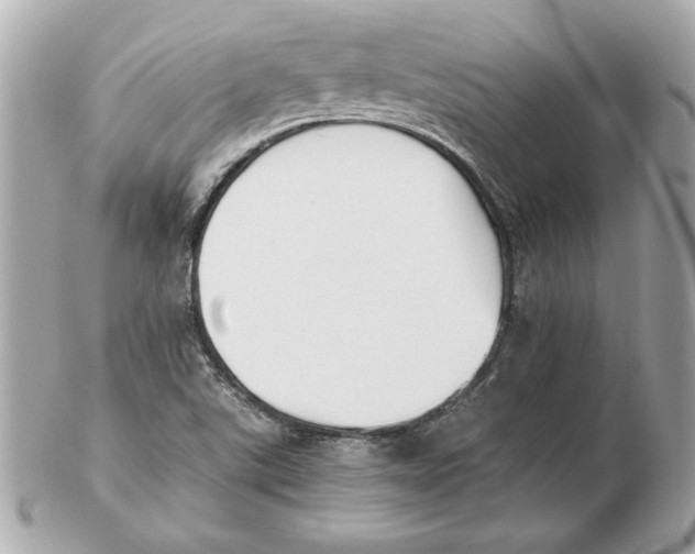 X0000102471507200808291552