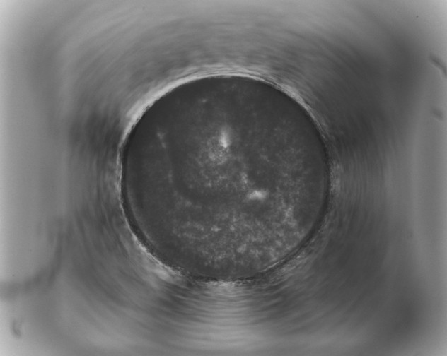 X0000102471508200808291552