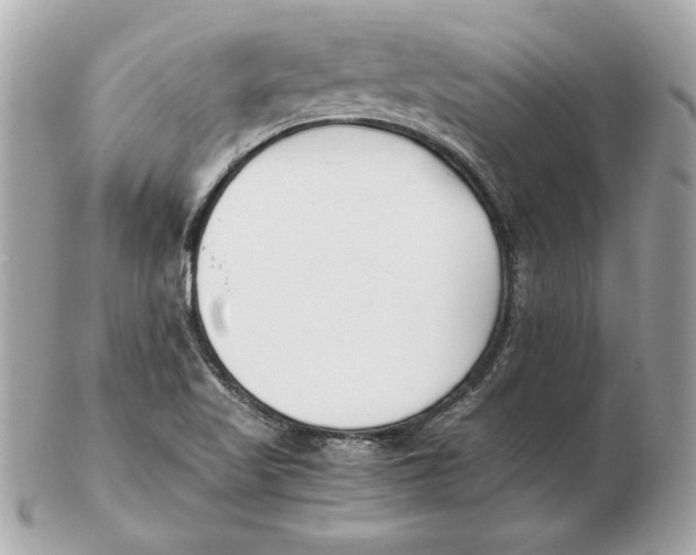 X0000102471509200808291552