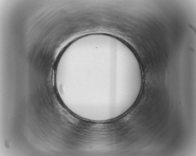 X0000102471510200808291552
