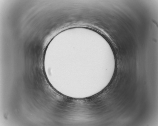 X0000102471512200808291552