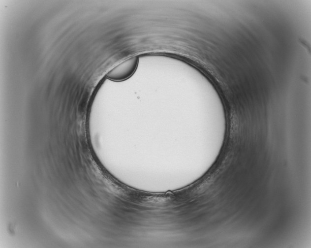 X0000102471513200808291552