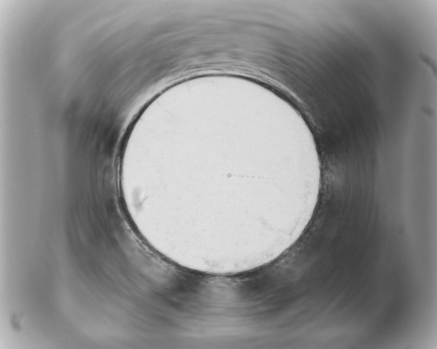 X0000102471514200808291552