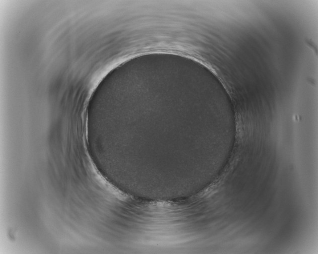 X0000102471515200808291552