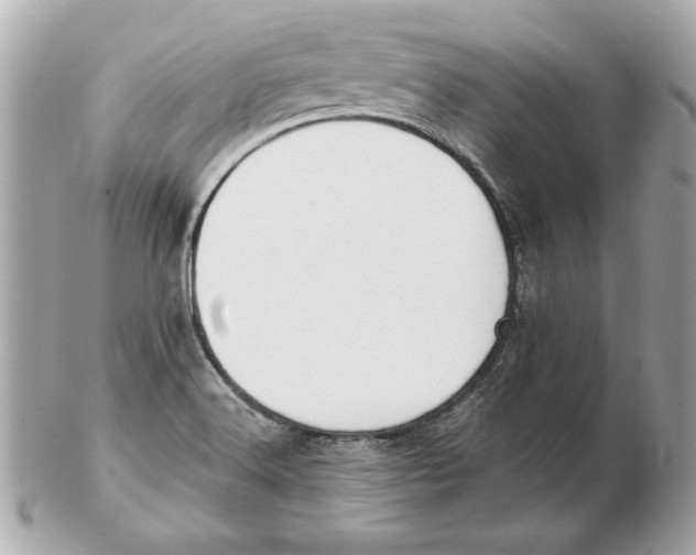 X0000102471516200808291552