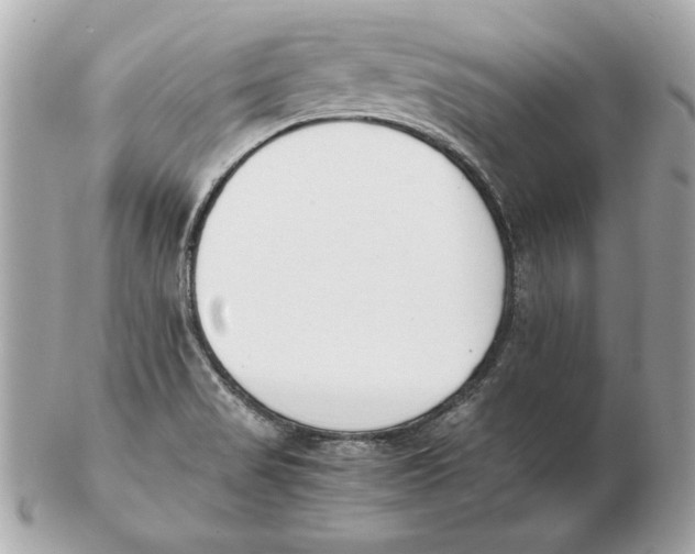 X0000102471517200808291552