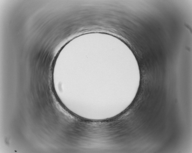X0000102471518200808291552