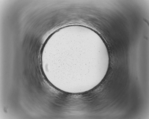 X0000102471519200808291552