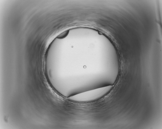 X0000102471520200808291552
