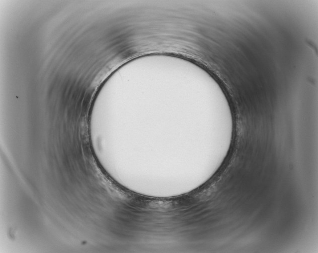 X0000102471521200808291552