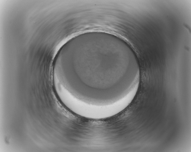 X0000102471522200808291552