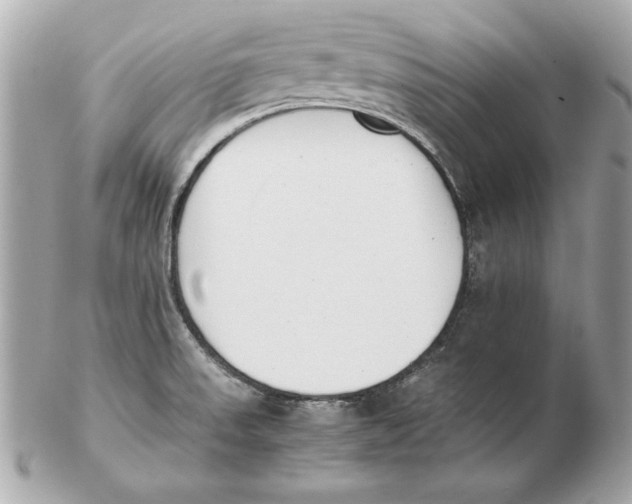 X0000102471523200808291552