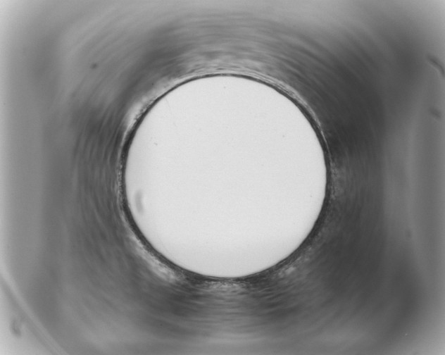 X0000102471525200808291552