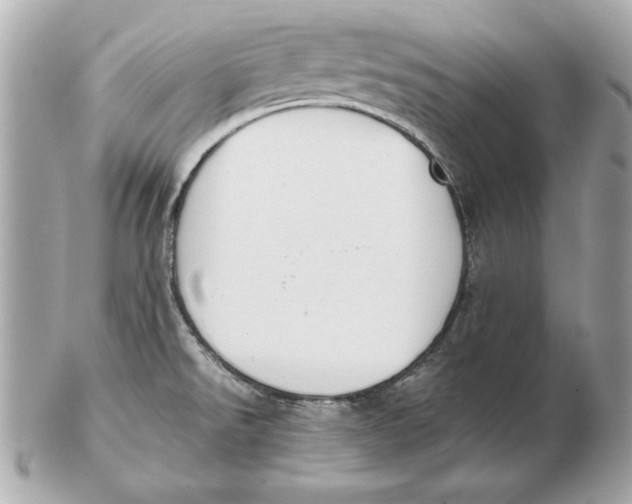 X0000102471526200808291552