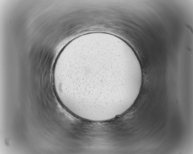 X0000102471527200808291553