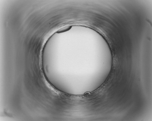 X0000102471528200808291553