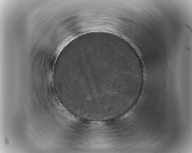 X0000102471529200808291553