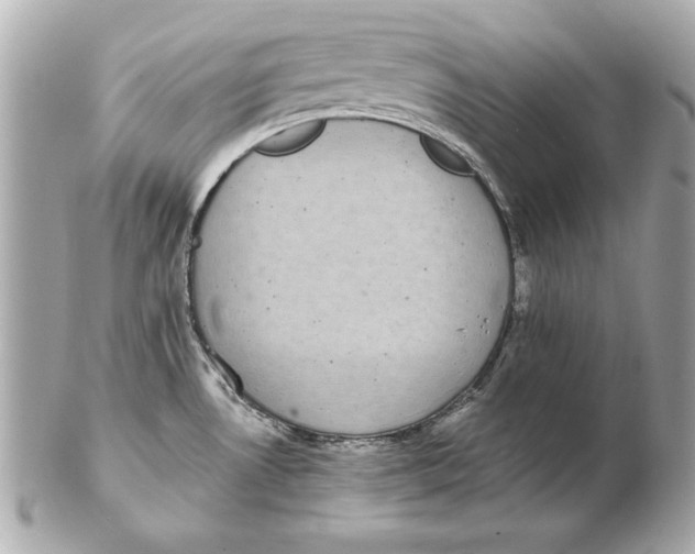 X0000102471530200808291553